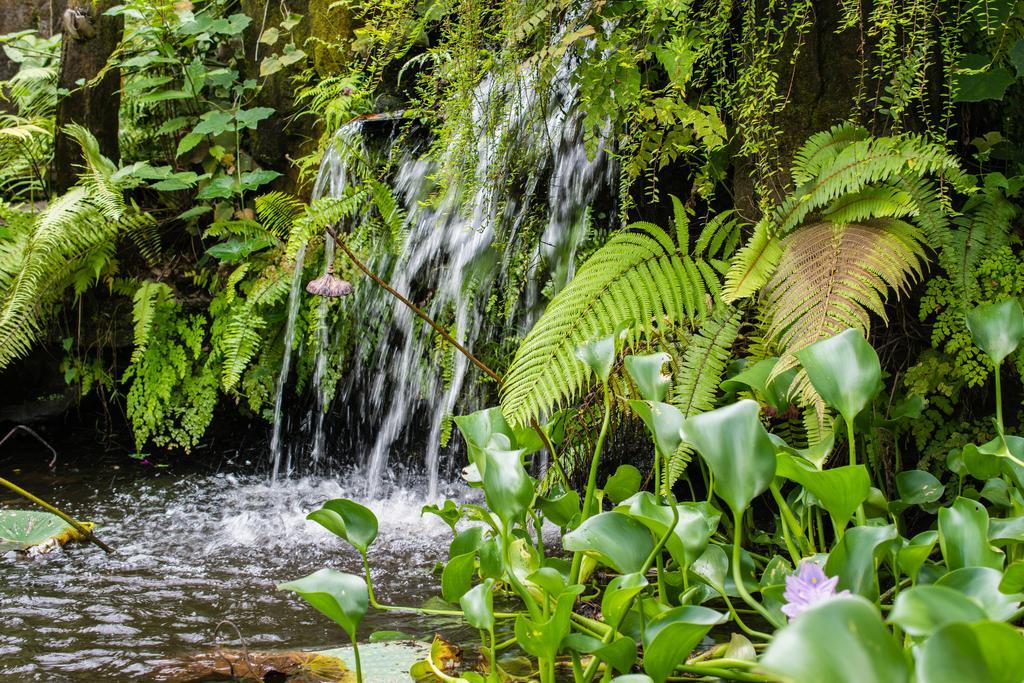 Gunung Paradis Retreat Мундук Экстерьер фото